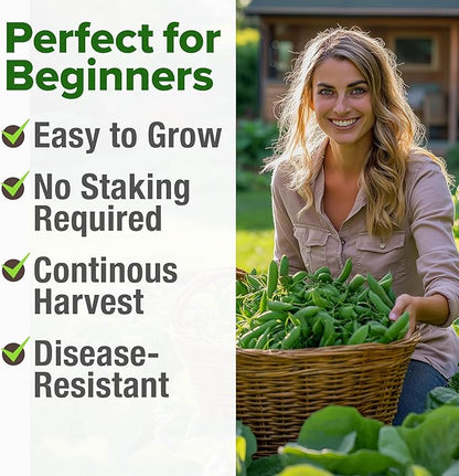 HOME GROWN Vegetable Seeds Non-GMO (Snap Pea, 1-Pack)