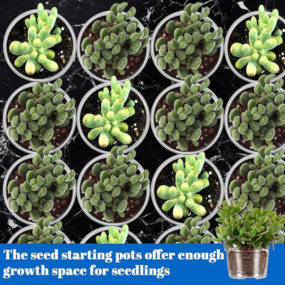200 Pcs Clear Mini Plastic Plant Pot Nursery Seedling Pots Seed Starter with Drainage Holes for Indoor Outdoor Garden Succulent Plants Cuttings Transplanting