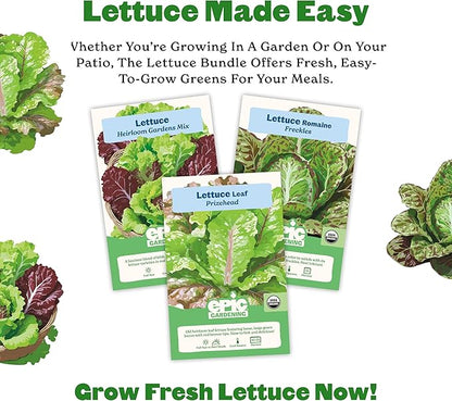 Epic Gardening Lettuce Seed Bundle - 3 Heirloom & Non-GMO Varieties, Includes Freckles Romaine, Heirloom Mix & Prizehead Leaf, Perfect for Fresh Salads, Wraps & Garden-to-Table Meals