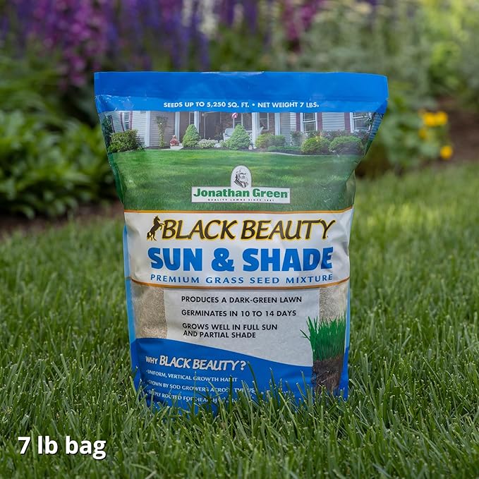 Jonathan Green (12005) Black Beauty Sun & Shade Grass Seed - Cool Season Lawn Seed (7 lb)