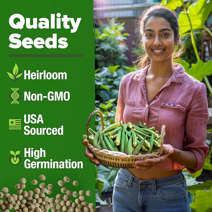 HOME GROWN Clemson Spineless Okra Seeds - 101 Heirloom Vegetable Seeds, Premium Garden Seeds for Planting Outdoors (Abelmoschus esculentus)