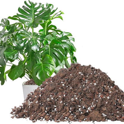 6.4QT Monstera Soil Potting Mix - Natural Organic Tropical Plant Soil for Improving Growth Rate, Sustainable Houseplants Growing Media for Indoor Bonsai Succulents Moisture Retention Drainageq