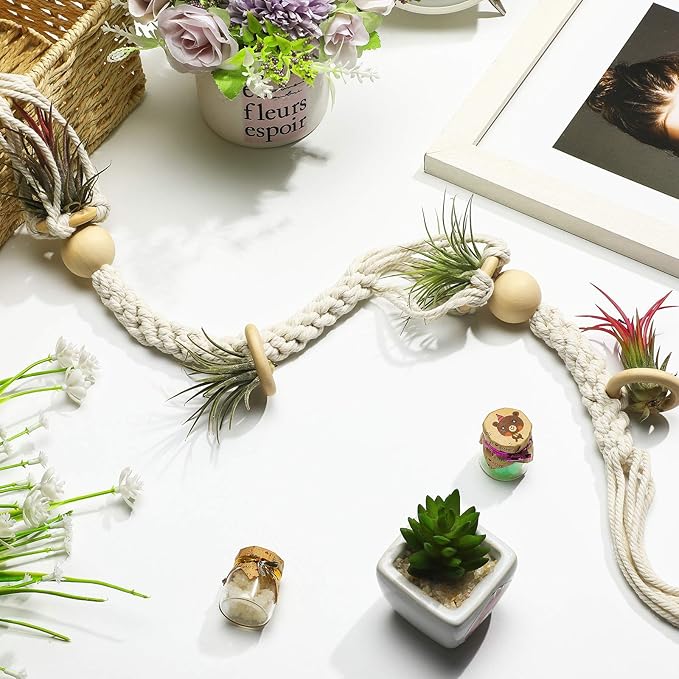 Tatuo 4 Pieces Hanging Air Plant Holders Boho Macrame Plant Hanger Fabric Woven Air Fern Display with 4 Pieces Hooks for Home Decoration Gift Idea