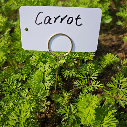 Plant Labels Kit, 20 PCS 12'' Copper Plant Tags Stakes with 40 PCS 1.97'' x 3.54'' Reusable Garden Labels Outdoor Waterproof Plus Marker Pen