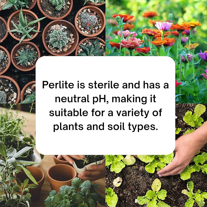 Horticultural Coarse Organic Perlite for Gardening - Soil Amendment for Indoor & Outdoor Plants - Promotes Soil Aeration - Made in USA (8 Quarts)