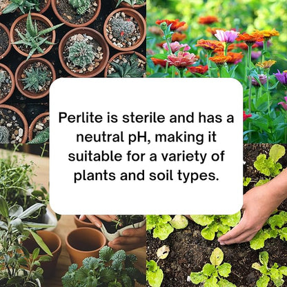 Horticultural Coarse Organic Perlite for Gardening - Soil Amendment for Indoor & Outdoor Plants - Promotes Soil Aeration - Made in USA (8 Quarts)