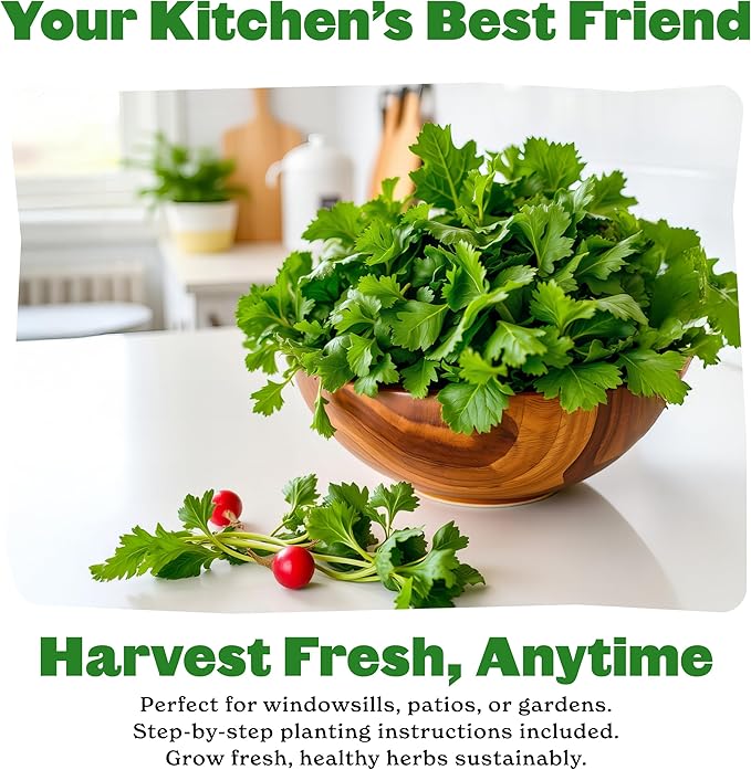 Epic Gardening Organic Herb Garden Seed Bundle - 5 Non-GMO Varieties for Cooking & Seasoning, Includes Basil, Cilantro, Dill, Chives & Parsley, Easy-to-Grow Seeds for Indoors or Outdoors