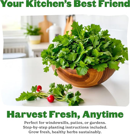 Epic Gardening Organic Herb Garden Seed Bundle - 5 Non-GMO Varieties for Cooking & Seasoning, Includes Basil, Cilantro, Dill, Chives & Parsley, Easy-to-Grow Seeds for Indoors or Outdoors