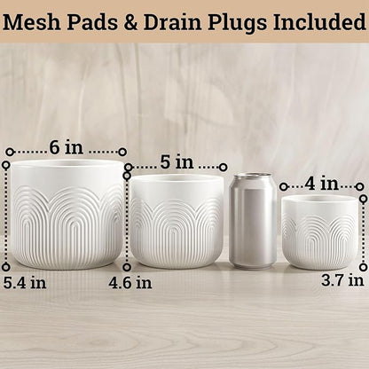 Ceramic Pots for Plants Set of 3 Sizes - 6, 5, 4 Inch Diameter Plant Pots with Drainage Holes - Ceramic Planters for Indoor Plants - Decorative Flower Pot - Plant Pot with Drainage - Indoor Planter