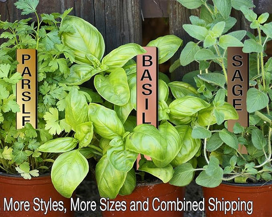 Straight-Up 06in Engraved Metalgraph Acrylic Herb Garden Stakes Plant Markers