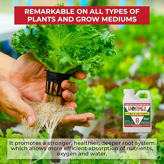 Hormex Rooting Hormone Concentrate with B1 – Root Growth Stimulator for Stronger, Thriving Plants - Prevents Transplant Shock - Hydroponics, Houseplants, Gardens, Trees, Fruits and Vegetables - 8oz
