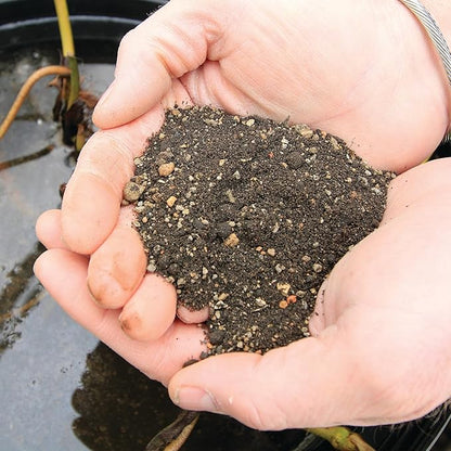 Aquascape Pond Plant Potting Media, Nutrient-Rich Aquatic Soil for Water Gardens, Supports Strong Root Growth, 215 Cubic Inches, 89002