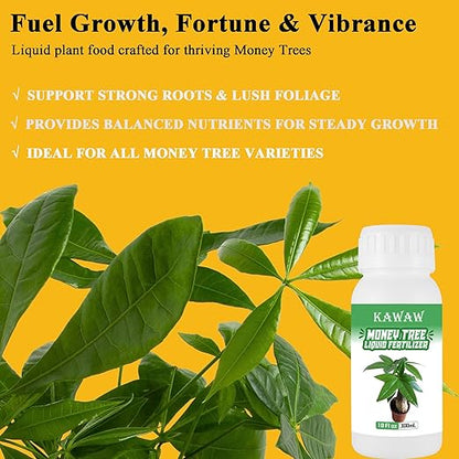 Money Tree Fertilizer for Money Trees and All Pachira Plants,Microbial Organic Liquid Plant Food for Houseplants’ Healthy Growth & Glossy Leaves 10 oz (300mL)