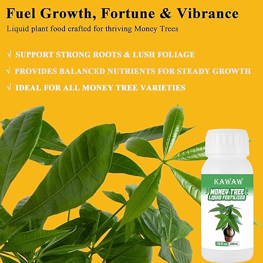 Money Tree Fertilizer for Money Trees and All Pachira Plants,Microbial Organic Liquid Plant Food for Houseplants’ Healthy Growth & Glossy Leaves 10 oz (300mL)