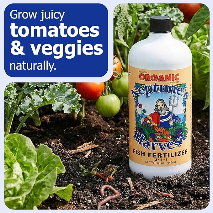 Neptune's Harvest Fish Fertilizer 2-4-1-36oz Bottle (Pack of 1) - Organic Liquid Plant Fertilizer - Fish Hydrolysate for Vegetables, Flowers, Fruit, Trees, Grass - Indoor and Outdoor Plant Food