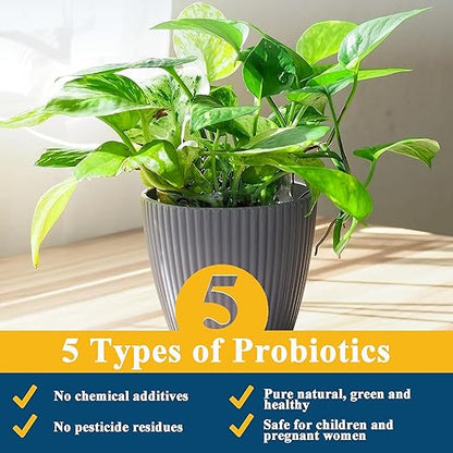 Pothos Fertilizer - Liquid Fertilizer for Indoor House Plants - Essential Plant Nutrients for Neon Pothos or Devil’s Ivy, Multi-Purpose Blend & Gardening Supplies,10 oz Bottle(300mL)