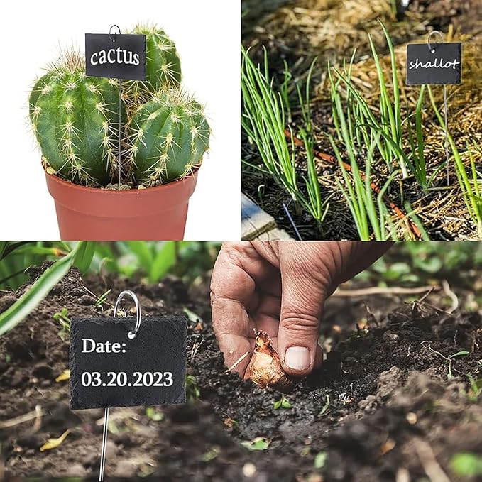 20Pcs Silver Stainless Steel Plant Label Hooks,Hanger Gardens Stake,Garden Markers Stake Plant Label Holder,Rustproof Deformed Garden Plant Sign Hooks Hanging Rods,Plant Container Accessories(20cm)