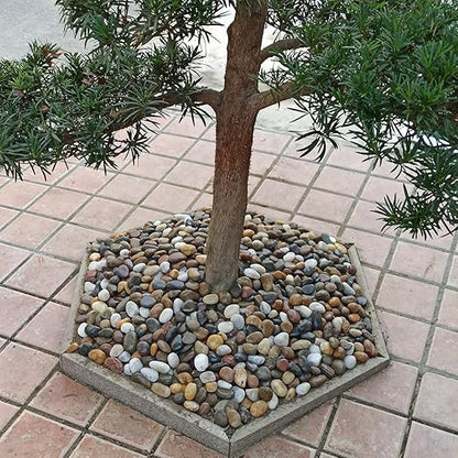 40lbs Large River Rocks for Landscaping, 3-4" Decorative Pebbles for Garden Design, Hand-Picked Smooth Stones for Fish Tank, Flower Pots, Indoor Water Fountains, Pathways, Backyard, Mixed Color