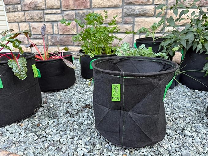 Seeding Square Fabric Grow Bags (7 Gallon) – Durable, Reusable Air-Pruning Plant Pots for Vegetables, Fruits & Herbs – Eco-Friendly Breathable Planter Bags for Healthy Roots & Bigger Harvests