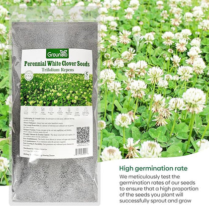 White Clover Seeds, 5 lbs, Perennial White Dutch Clover Seed for Lawn, Ground Cover, Nitrocoated and Inoculated, Attracts Pollinators
