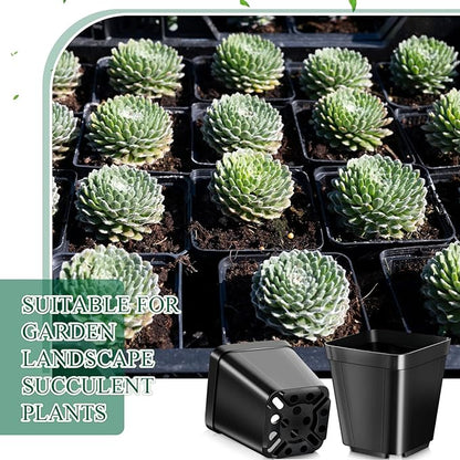 1000 Pcs 2.7 Inch Nursery Pots Bulk Square Small Plastic Seedling Starter Pots with Drainage Holes, Deep Planting Containers for Indoor Outdoor, Greenhouse, Garden, Nursery & Farm Use, Black
