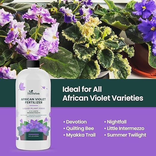 16oz African Violet Fertilizer for African Violets Live Plants - Makes 24 Gallons of Indoor Plant Food for Houseplants, Balanced Macro & Micronutrients Formula for Vibrant Blooms & Lush Foliage