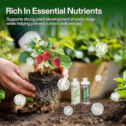 VIVOSUN Liquid Nutrients Base A & B Bundle, Grow Big Hydroponic Fertilizer, Supports Vegetative and Flowering Stages for Outdoor, Indoor Plants, Best Plant Food, Set of 8oz (Pack of 2)