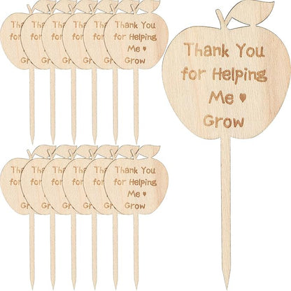 Yulejo 12 Pieces Thank You for Helping Me Grow Succulent Tags Graduation Appreciation Gifts Plant Stakes Labels Garden Wooden Sign Stakes for Baby Shower