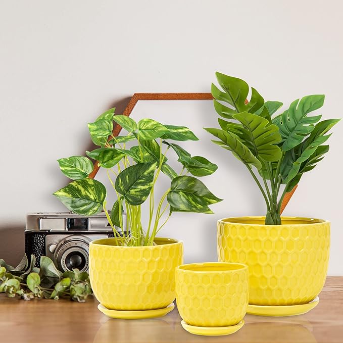 Yellow Ceramic Flower Pots with Saucers, Modern Round Ceramic Succulent Plant Pots with Honeycomb Inspired Texture Design, Small to Medium Sized, Set of 3