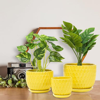 Yellow Ceramic Flower Pots with Saucers, Modern Round Ceramic Succulent Plant Pots with Honeycomb Inspired Texture Design, Small to Medium Sized, Set of 3