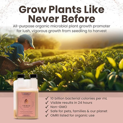 Tribus Organic Microbial Inoculant | Root Booster for Plants, Increases Plant Yield, Root Growth, Flower & Fruit Quality | Visible Root Growth in 24Hrs | Pet & Planet-Safe | Made in The USA | 8.5oz