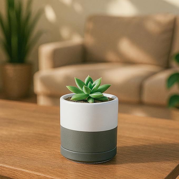 D'vine Dev 3.5 Inch Ceramic Planter Pot with Drainage Hole and Saucer, Indoor Cylinder Round Planter Pot, White/Speckled Grey, 94-O-A-6