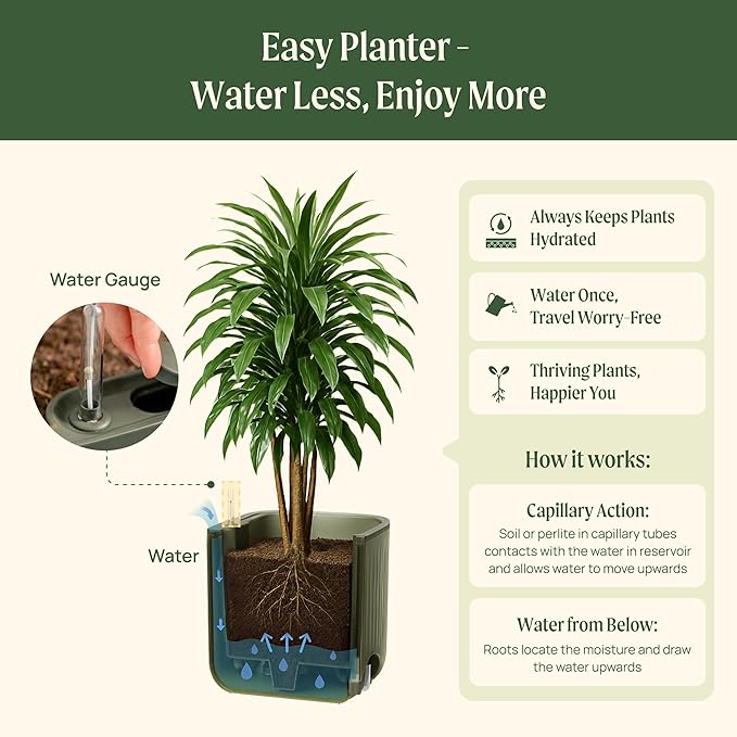 Vego garden 15 Inch Self-Watering Planter for Indoor Plants – Large Modern Plant Pot with Built-in Water Reservoir, Ideal for Monstera, Fiddle Leaf Fig, Palms & Peace Lily, Without Trellis, Fog Gray