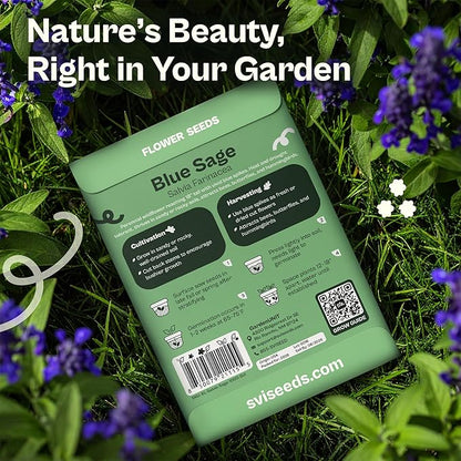 SVI 1000 Blue Sage Seeds for Planting (Salvia farinacea) - Heirloom Sage, Salvia Perennial Wildflower - Flower Seeds to Plant Outside in Pollinator Garden, Meadows, Borders, Beds