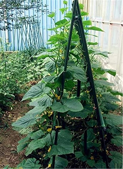 Garden Stakes 24 Inches Steel Plant Stakes Tomato Stakes 2ft Pack of 25