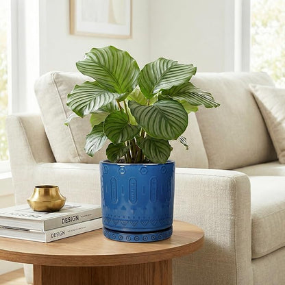 Ceramic Planter, 6 Inch Plant Pot with Drainage Hole and Tray, Round Flower Pots for Indoor Outdoor Plants, Boho Decorative Pots for Plants, Bookshelf Decor, House Warming Gift, Blue