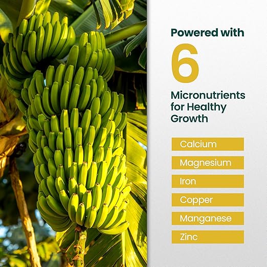 32oz Plant Food for Banana Trees Live Plants - Makes 32 Gallons of Banana Tree Fertilizer for Fruit Trees Live Plants - Promotes Lush Growth, Strong Roots, Abundant Harvest & Sweet Fruits