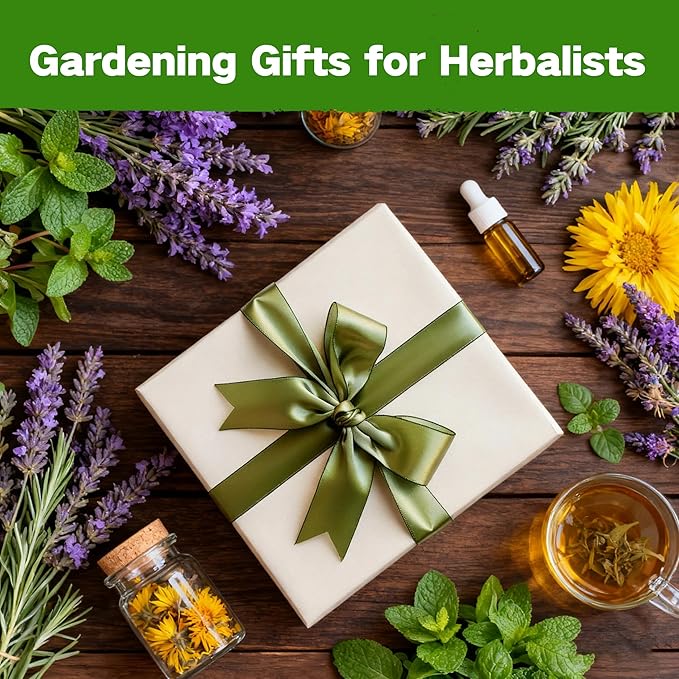 Lush&Dew Ancestral Apothecary Medicinal Tea Herb Seed Chest, 36,000+ Non-GMO Survival Seed Kit, Gardening Gifts for Women Men, 40 Types Heirloom Garden Seeds for Planting Herbs, Raised Bed Windowsill