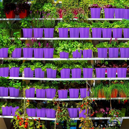 Havawish 150 Pcs 4 Inch Plastic Nursery Pots Seedling Starting Pots with Drainage Holes Thicken Flower Planters Seed Starting Indoor Outdoor for Seedling Cutting Transplanting(Purple)