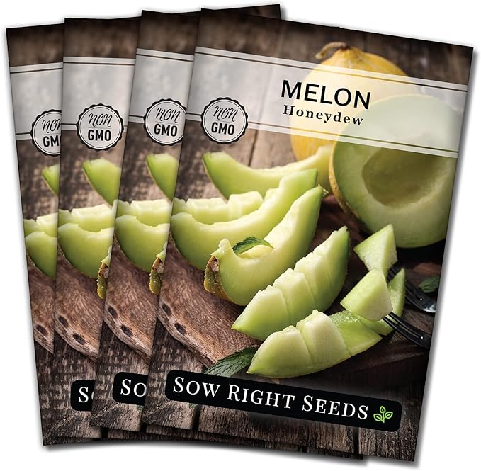 Sow Right Seeds - Green Honeydew Melon Seeds for Planting - Non-GMO Heirloom Packet with Instructions to Plant a Home Vegetable Garden - Super Sweet and Crisp Green Honey Dew Cantaloupe (4)