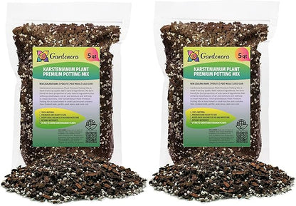 GARDENERA Monstera Karstenianum Potting Mix - Retains Moisture and Enhances Root Development - 10 Quart (2 Bags of 5 Quart)