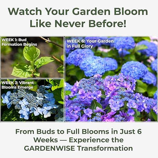 Slow Release Hydrangea Fertilizer with Iron & Sulfur – Indoor & Outdoor Soil Acidifier for Miracle Growth (3 qt)