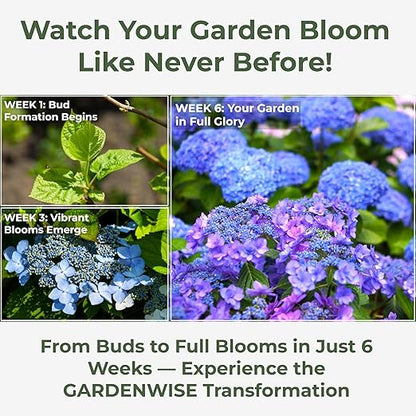 Slow Release Hydrangea Fertilizer with Iron & Sulfur – Indoor & Outdoor Soil Acidifier for Miracle Growth (3 qt)