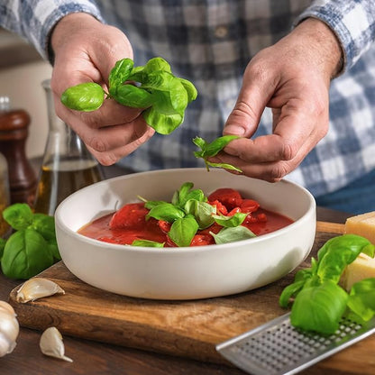 Seed Needs Basil Seeds for Planting Italian Large Leaf Herbs - Non-GMO Heirloom & Untreated - Grow an Indoor or Outdoor Home Grown Herb Garden (2 Packs)
