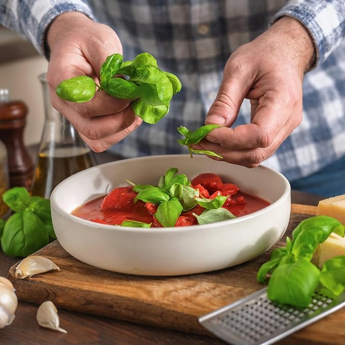 Seed Needs Basil Seeds for Planting Italian Large Leaf Herbs - Non-GMO Heirloom & Untreated - Grow an Indoor or Outdoor Home Grown Herb Garden (20 Packs)
