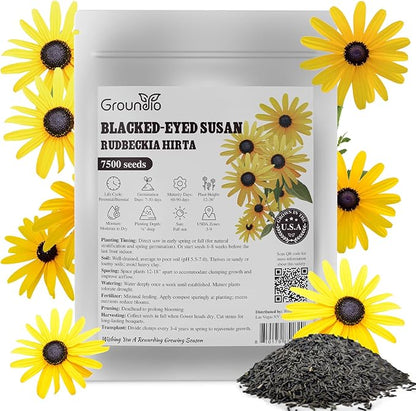 Black Eyed Susan Seeds, 7500+ Perennial Flower Seed to Plant Indoor & Outdoor, Attract Pollinators | Non-GMO | Heirloom Wildflowers Seeds, USDA Zone 3-9