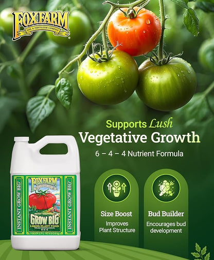 FoxFarm Grow Big Liquid Plant Food - 6-4-4 House Plant Fertilizer for Lush Vegetative Growth, Fast Nutrient Uptake for Roses, Tomatoes & Veggies - Gallon Size Concentrate