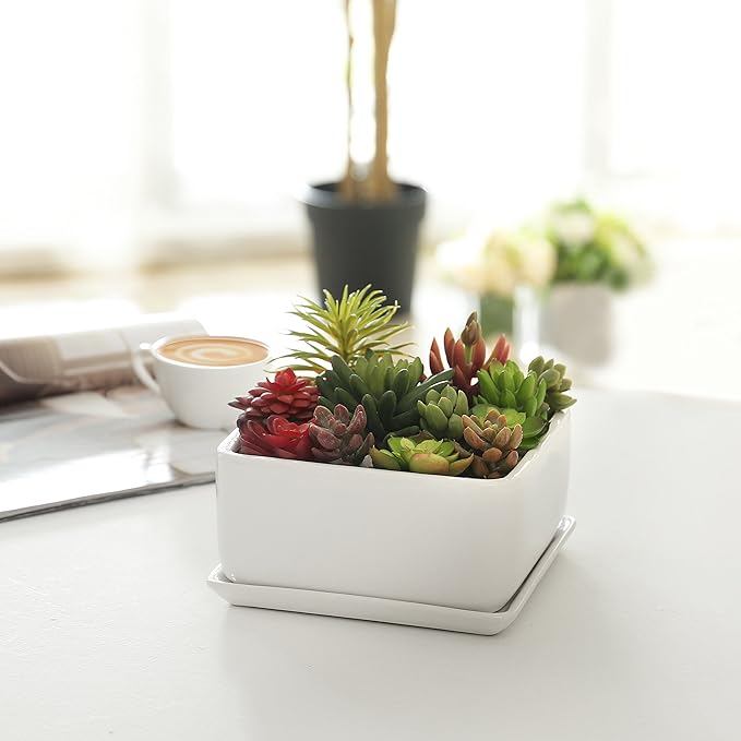 MyGift Modern White Ceramic Square Indoor Small Planter, Flower Succulent Plant Pot with Drainage Hole and Removable Drip Tray