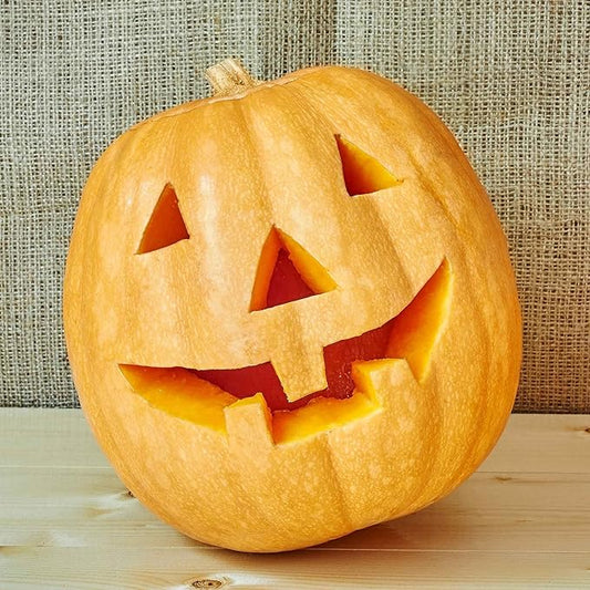 Eden Brothers Pumpkin Seeds - Howdens Field Non-GMO Seeds for Planting, Packet | High-Yielding, Fast Growing Vegetable Seeds, Plant During Warm Season, Zones 3, 4, 5, 6, 7, 8, 9, 10