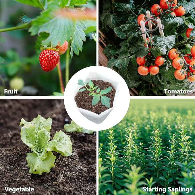 Belit Large Non-Woven Plant Nursery Bags, 25 Pcs Grow Bags Seedling Pots Container for Tree,Vegetable, Flower, Plant Grow (13.2"x15")
